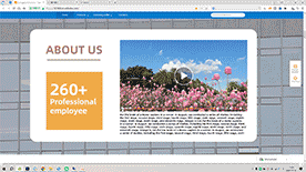 关于我们视频，添加全屏背景