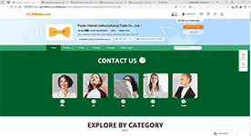 阿里巴巴国际站客服代码生成器